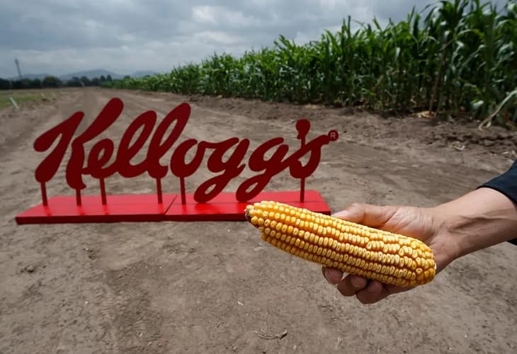 Kellogg impulsa proyectos de conservación y maíz amarillo en México
