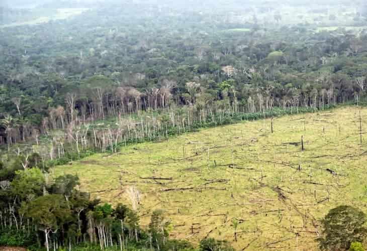 La deforestación aumentó en Colombia en 2021 por segundo año consecutivo