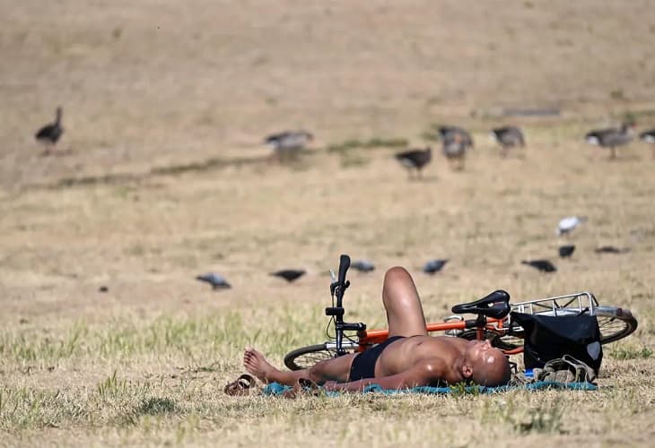 La ola de calor castiga a Europa con temperaturas extremas