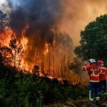 Las altas temperaturas alimentan los incendios en el sur de Europa