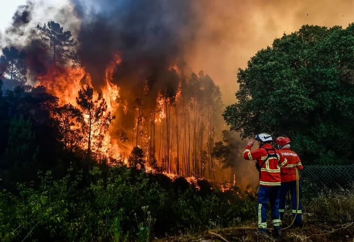 Las altas temperaturas alimentan los incendios en el sur de Europa