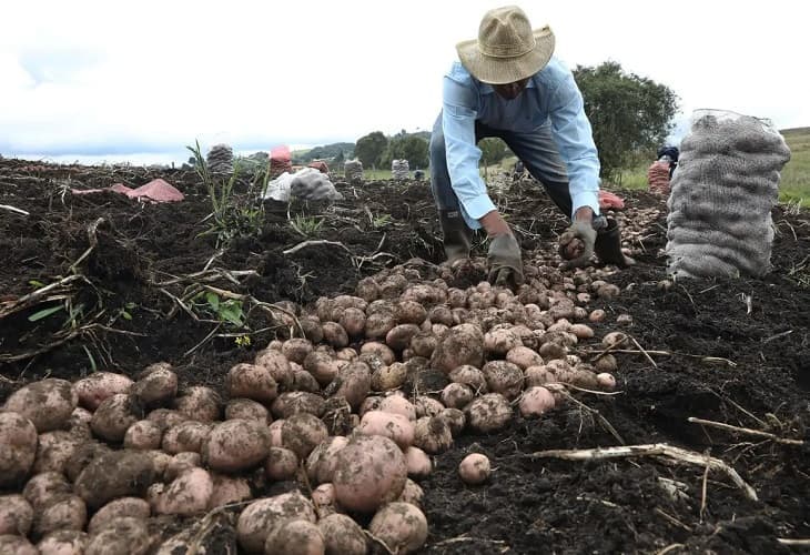 Latinoamérica avanza en un plan regional de agricultura ante el cambio climático