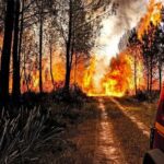 Los dos incendios al sur de Burdeos, en Francia, ya han quemado 10.500 hectáreas