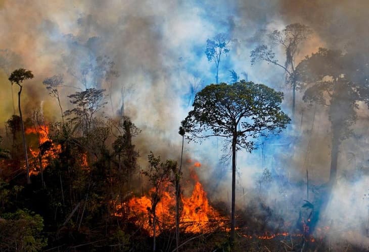 Los incendios en la Amazonía brasileña suben en el primer semestre y prenden las alarmas