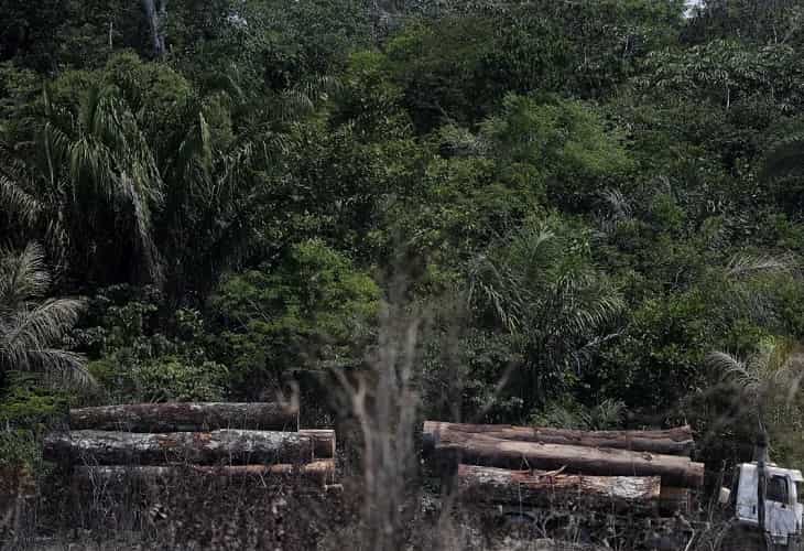 Los principales supermercados incumplen compromisos contra la deforestación