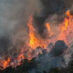 Más de 98.000 hectáreas afectadas por 1.202 incendios forestales en Honduras