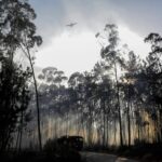 Portugal controla principales frentes de fuego pero no baja la guardia