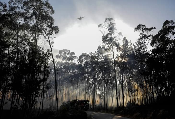 Portugal controla principales frentes de fuego pero no baja la guardia