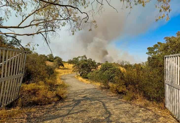 iNCENDIOS EN sEVILLA