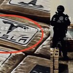 Tonelada de droga fue asegurada entre Edomex y CDMX este 26