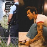harry styles cancela concierto por tiroteo en Dinamarca