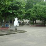 Apolinar Herrera murió tras caerse de un árbol de mango, en Montería