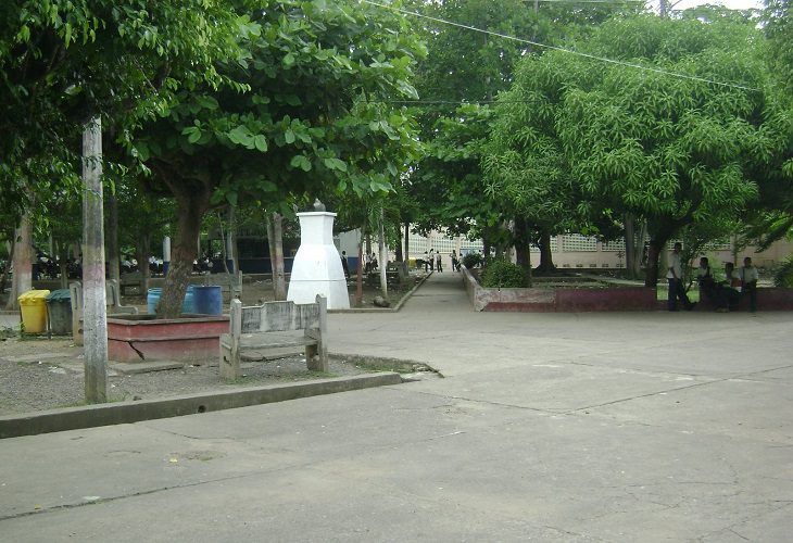 Apolinar Herrera murió tras caerse de un árbol de mango, en Montería