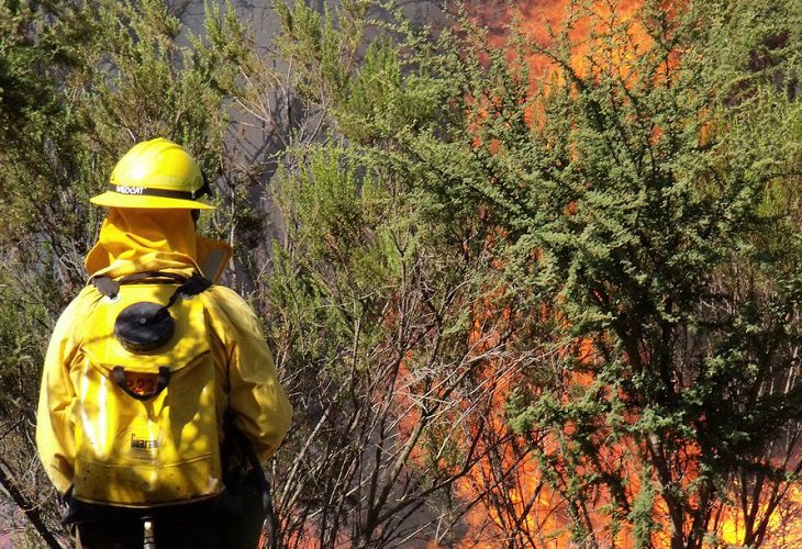 Daniel Muñoz Varas, el brigadista que murió en la extinción del incendio de Losacio