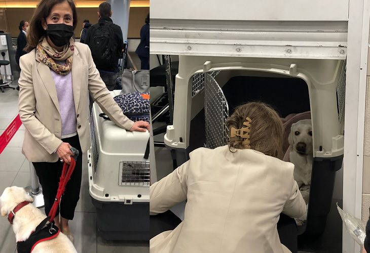 Ingrid Betancourt se fue por unas semanas de Colombia junto a su mascota 'Flor'
