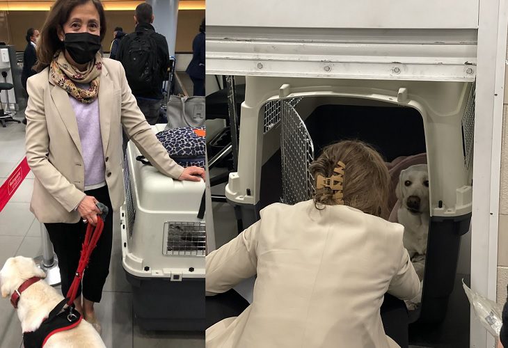 Ingrid Betancourt se fue por unas semanas de Colombia junto a su mascota ‘Flor’