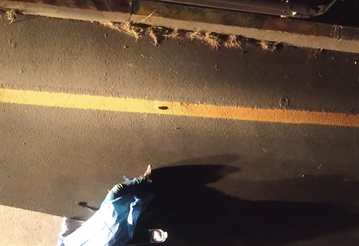 Feria de Buga: el jinete Andrés Ramos murió con su caballo al ser arrollados por bus