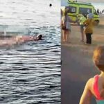 Muere turista mordida por tiburón en la playa egipcia de Sharm El Sheikh
