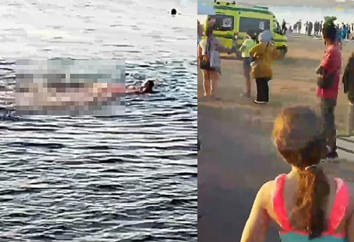 Muere turista mordida por tiburón en la playa egipcia de Sharm El Sheikh