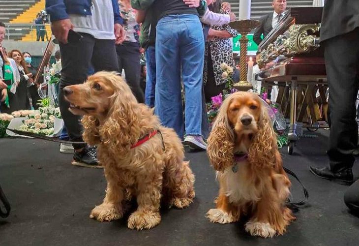 Darío Gómez pidió que al funeral llevaran a sus perros, para que supieran que no los había abandonado