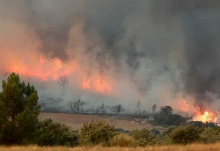 Colombia propone crear una flota aérea para combatir los incendios de la selva amazónic