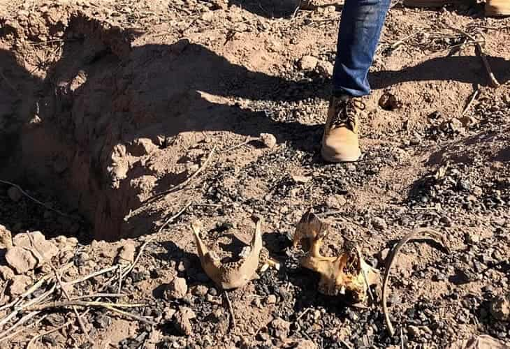 Descubren fosas clandestinas con 11 cadáveres en oeste mexicano