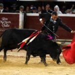 El Congreso colombiano comienza a impulsar la prohibición de las corridas de toros