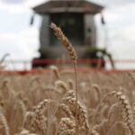 El PMA pide “actuar rápido” para evitar una “catástrofe” alimentaria global