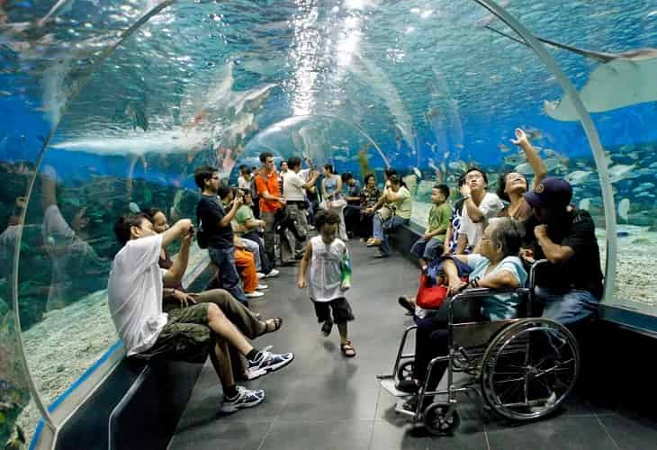 El mundo busca cerrar por fin un tratado para proteger la alta mar