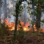 Francia se dispone a vivir otra dura jornada de lucha contra los incendios