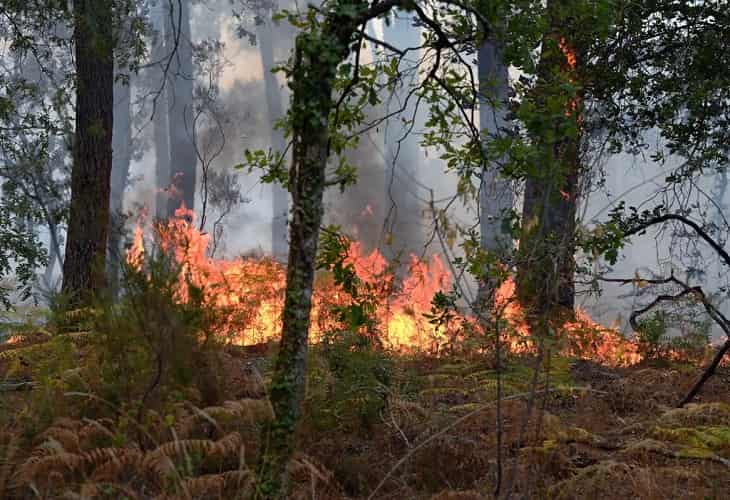 Francia se dispone a vivir otra dura jornada de lucha contra los incendios
