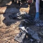 Hallan tres fosas clandestinas con seis cuerpos en el sur de México