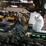 La canasta básica en Chile sube en julio a un histórico del 20,6 % interanual