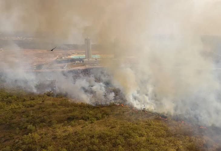 La deforestación de la Amazonía brasileña tuvo la mayor tasa del año en julio