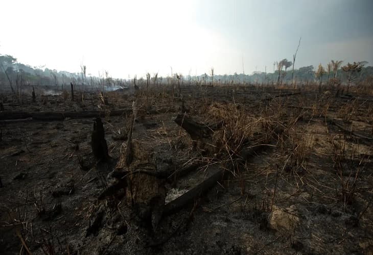 Los incendios en la Amazonia brasileña crecieron un 7,9 % en julio (1)