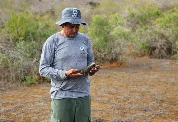 Nacen iguanas terrestres en una isla de Galápagos después de casi dos siglos