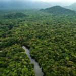 Petro - salvar la selva amazónica es “asunto de seguridad nacional”