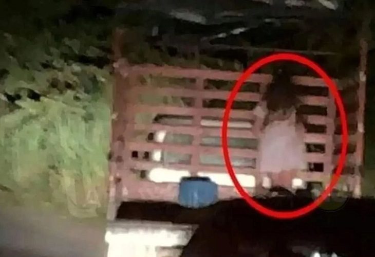 Captan supuesta niña fantasma en un camión en el Tolima