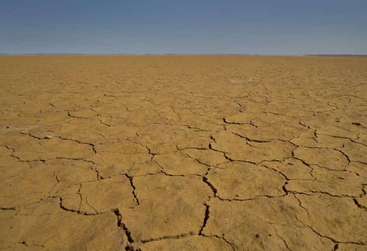 Unicef alerta del riesgo para millones de niños por la sequía en África