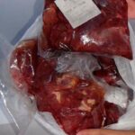 Investigarán al PAE de La Ceja tras hallar carne de burro en sus alimentos