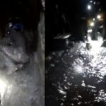 Angustioso video de mineros que quedan atrapados en una mina de Buriticá