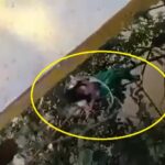 Impresionante rescate de niño que cayó por un puente colgante en Andes