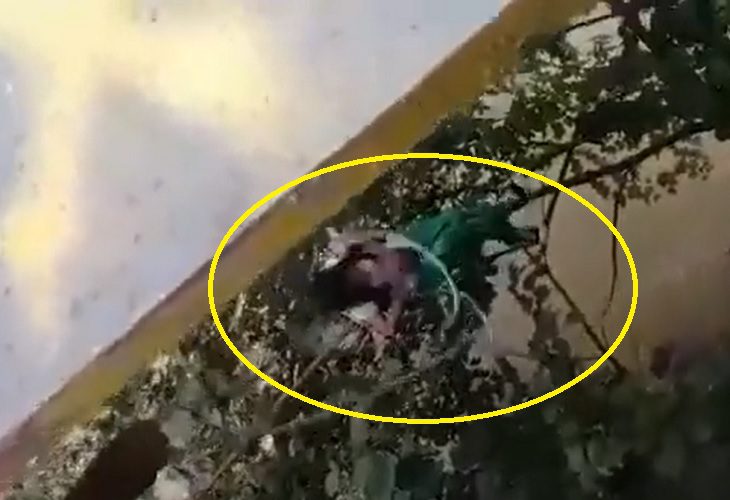 Impresionante rescate de niño que cayó por un puente colgante en Andes