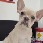 Candy fue rescatada en Belencito, hasta donde la habían llevado sus captores
