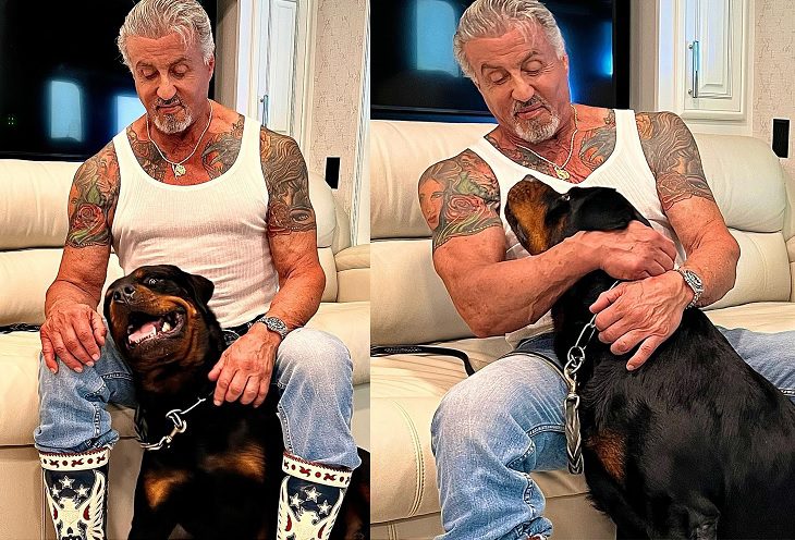 Sylvester Stallone niega que su divorcio tenga que ver con su nuevo perro