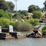 Cementerios bajo las aguas, el reto de enterrar a los muertos en Pakistán