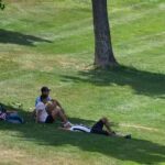 El cambio climático es ya una amenaza para los árboles urbanos
