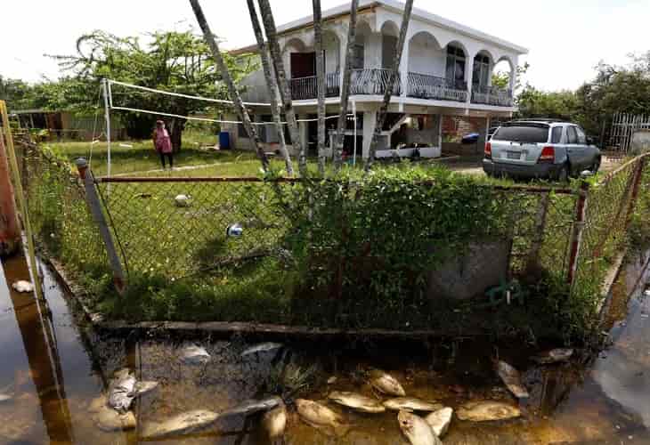 El huracán Fiona deja peces en las calles del pueblo puertorriqueño de Loíza