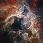 El telescopio James Webb muestra en detalle una guardería de estrellas