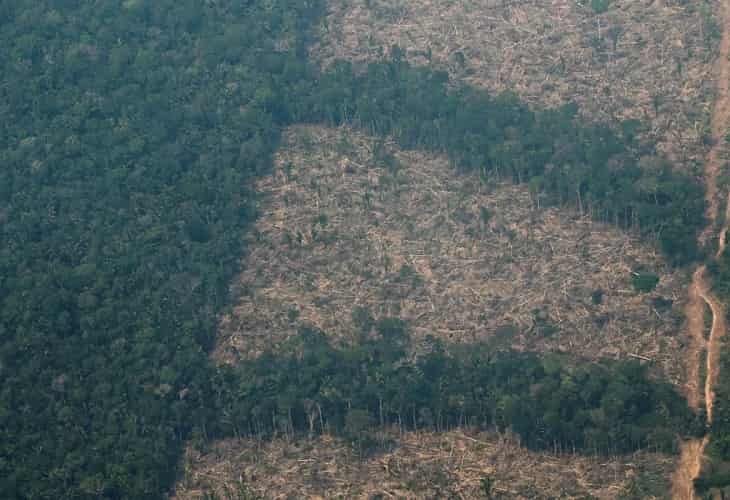 La deforestación en la Amazonía se dispara un 80 % en agosto